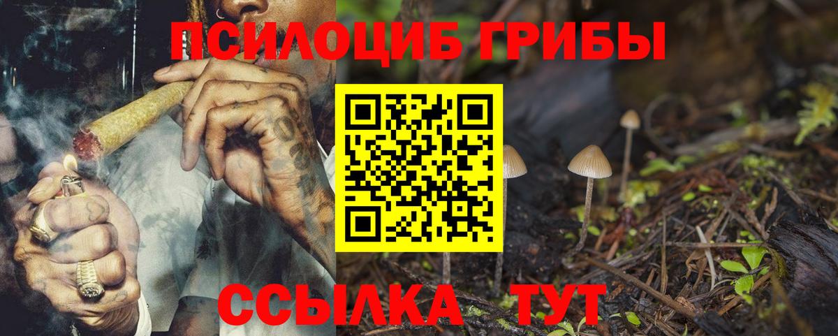 Псилоцибиновые грибы GOLDEN TEACHER Иваново