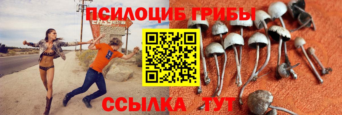 Галлюциногенные грибы мицелий  Вход с VPN  Иваново 